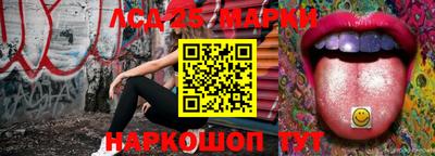 apvp Свободный