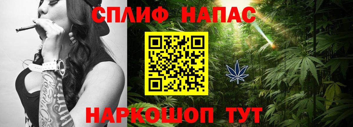 Конопля Amnesia Геленджик